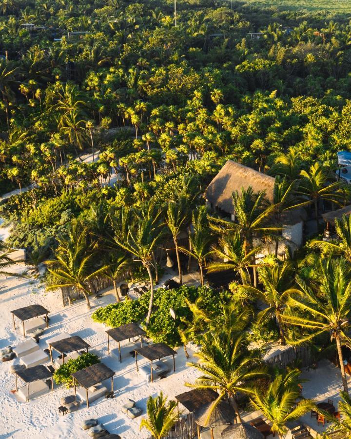 Hotel Nest Tulum Exterior foto